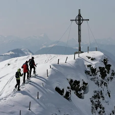 In Mittersill Near Bus & Slopes 公寓